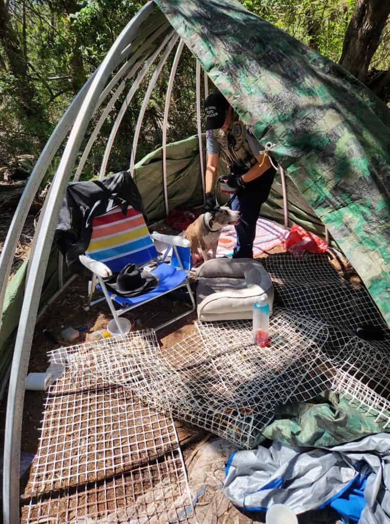 Two Florida men were arrested and a litter of puppies, and their mom were saved, after police and FWC conducted a well-being check on an island. 