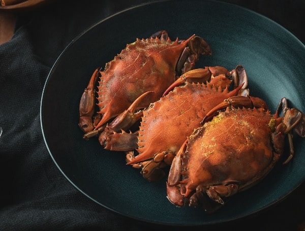 From Claw To Plate: Crab Tools That Elevate Your Seafood Experience