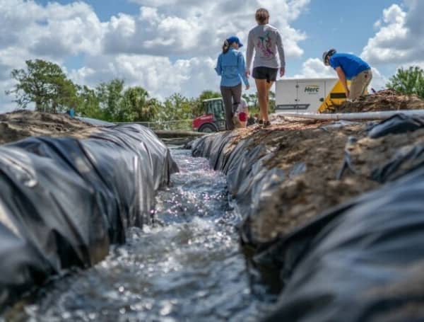 FWC Completes Habitat Restoration At Warm Mineral Springs In Sarasota County