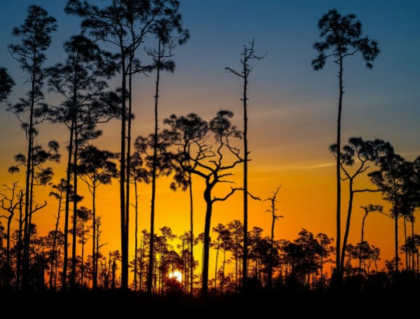 Florida Legislature, State Agencies Seek To Dismiss Environmental Groups’ Appeal On Conservation Funding