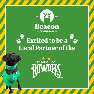 Beacon-St. Pete, Florida’s only woman-owned 24/7 Veterinary ER partners with Tampa Bay Rowdies to engage all furry fans