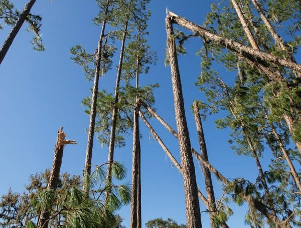 It’s Hurricane Preparedness Week — Innovative Technology To Evaluate Forest Damage Helps With Rapid Response Post-Storm