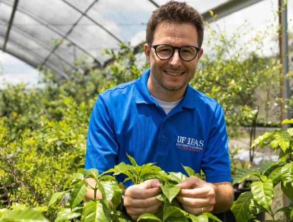 University Of Florida Scientists Study How To Bring You ‘Climate-Smart Coffee’