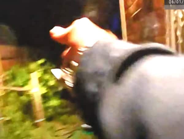 Detroit Police Release Footage Of Officer-Involved Shooting At Chaotic House Party