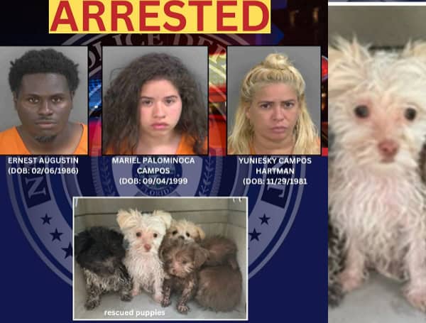 Police In Florida Rescue Puppies From Scorching Beach Heat, Arrest Trio For Animal Cruelty