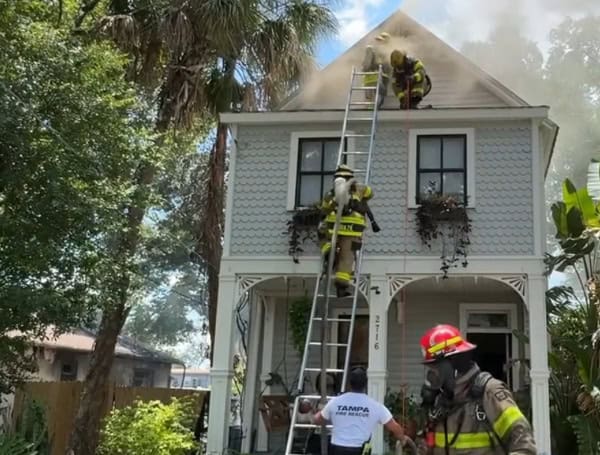 Tampa Fire Rescues Two Cats In Residential Fire