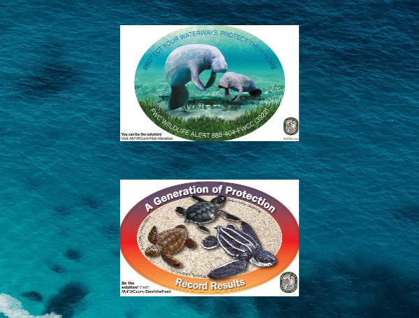 New FWC Decals Support Florida’s Manatees And Sea Turtles