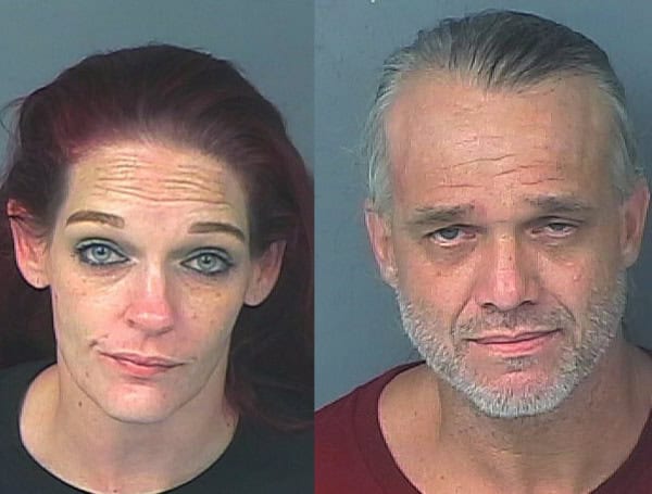 Hernando County Drug Bust Leads To Arrests And Confiscations In Brooksville