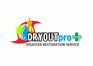 DRYOUTpro PLUS, Inc. Celebrates 30 Years of Excellence in Water Damage Restoration and Mold Remediation