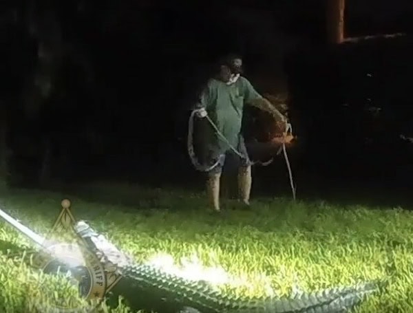 Florida Resident Gets A Surprise Visit From An 8-Foot Alligator