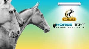 Vitafloor and HorseLight Unveil Strategic Collaboration to Advance Equine Wellness and Performance