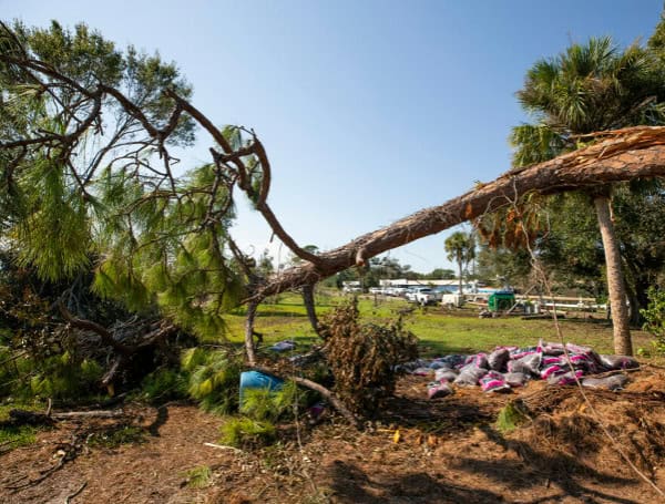 UF/IFAS Supports Florida After Hurricanes Helene And Milton