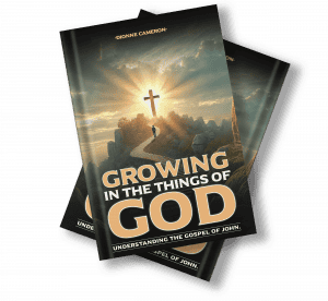 Growing In The Things of God: A Transformative Journey Through the Gospel of John