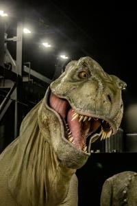 Asset IQ signs new agreement with a larger Entertainment Organization for Dinosaur Show Prop Auction