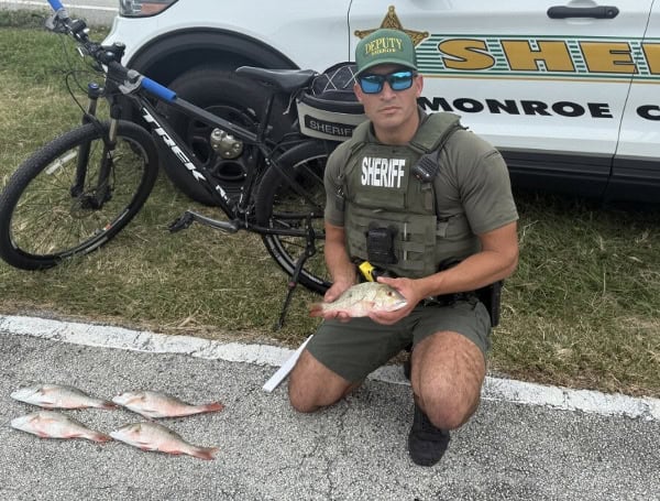 Two Anglers Face Penalties For Fish Violations In The Florida Keys