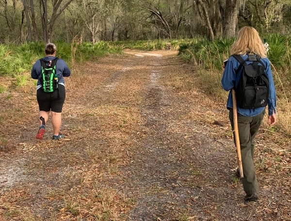 Hillsborough County Hiking Spree Kicks Off Sunday, December 1st