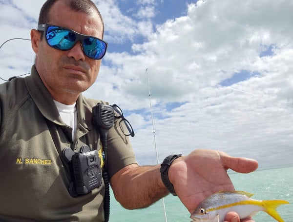 Miami Man Cited For Undersized Snapper In Islamorada: Monroe County Sheriff