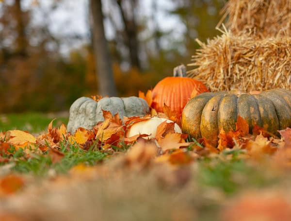 Texas Sen. John Cornyn: The First Thanksgiving Before Plymouth Rock